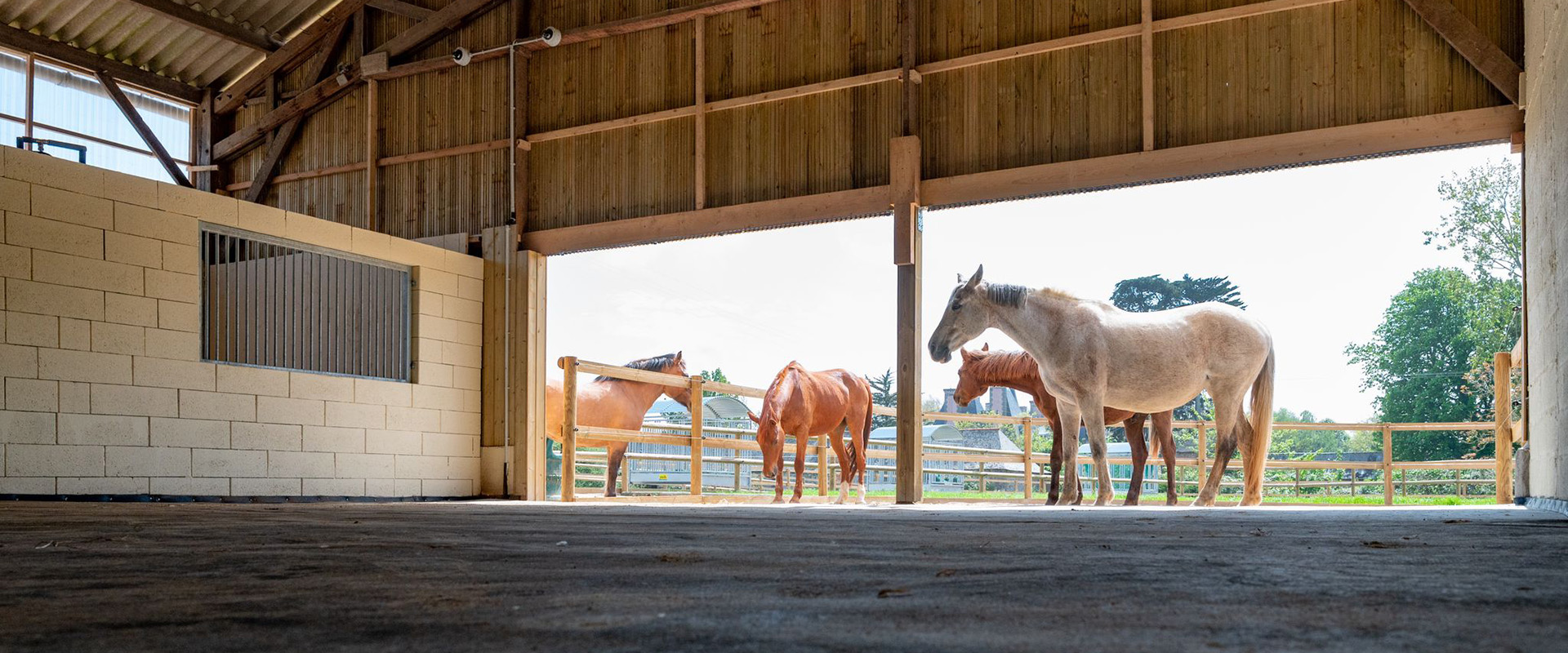 Allée d'entrée de l'Écurie Active Malouine au Tertre Gervais