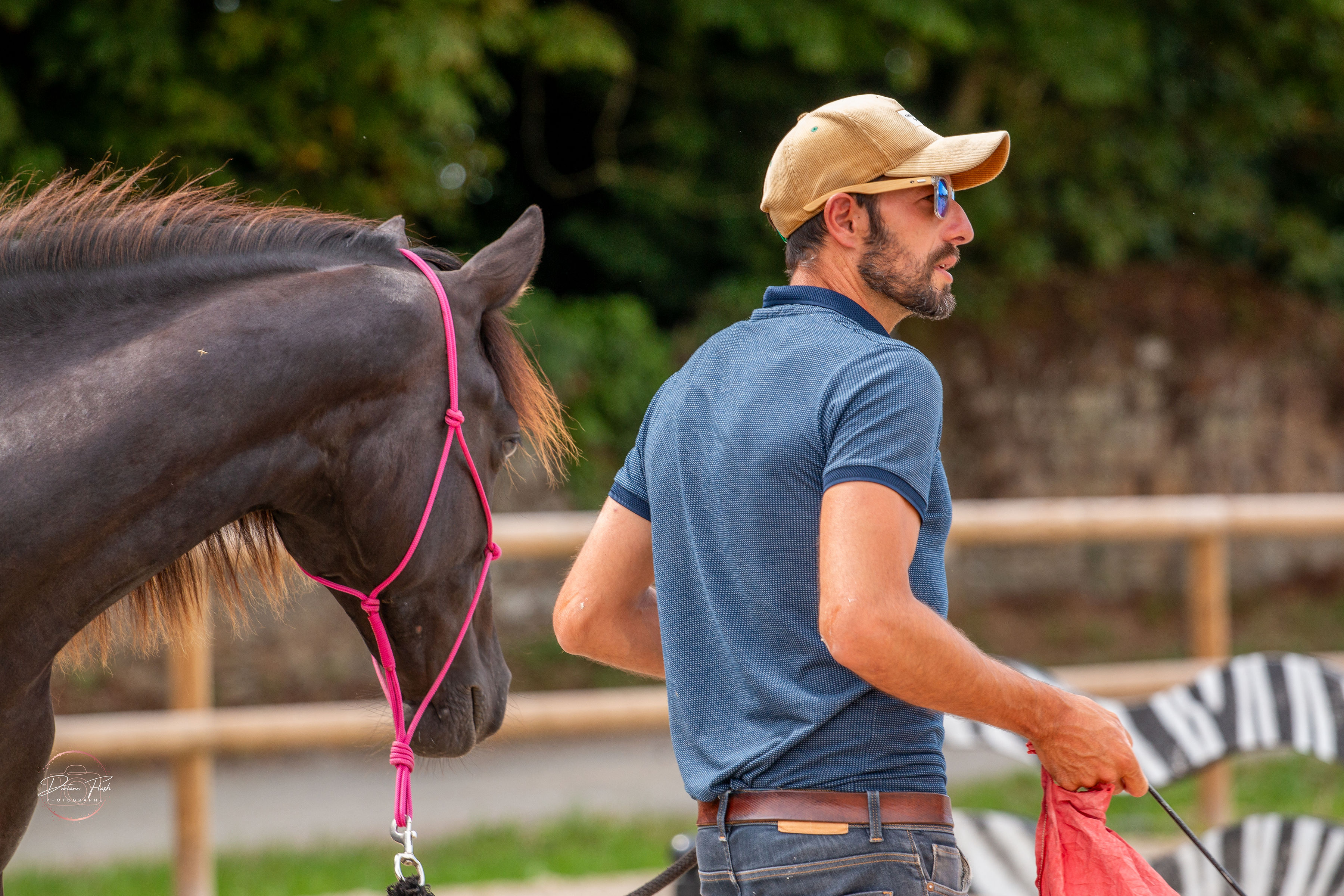 Cours particulier d'équitation avec Lisa Chabert