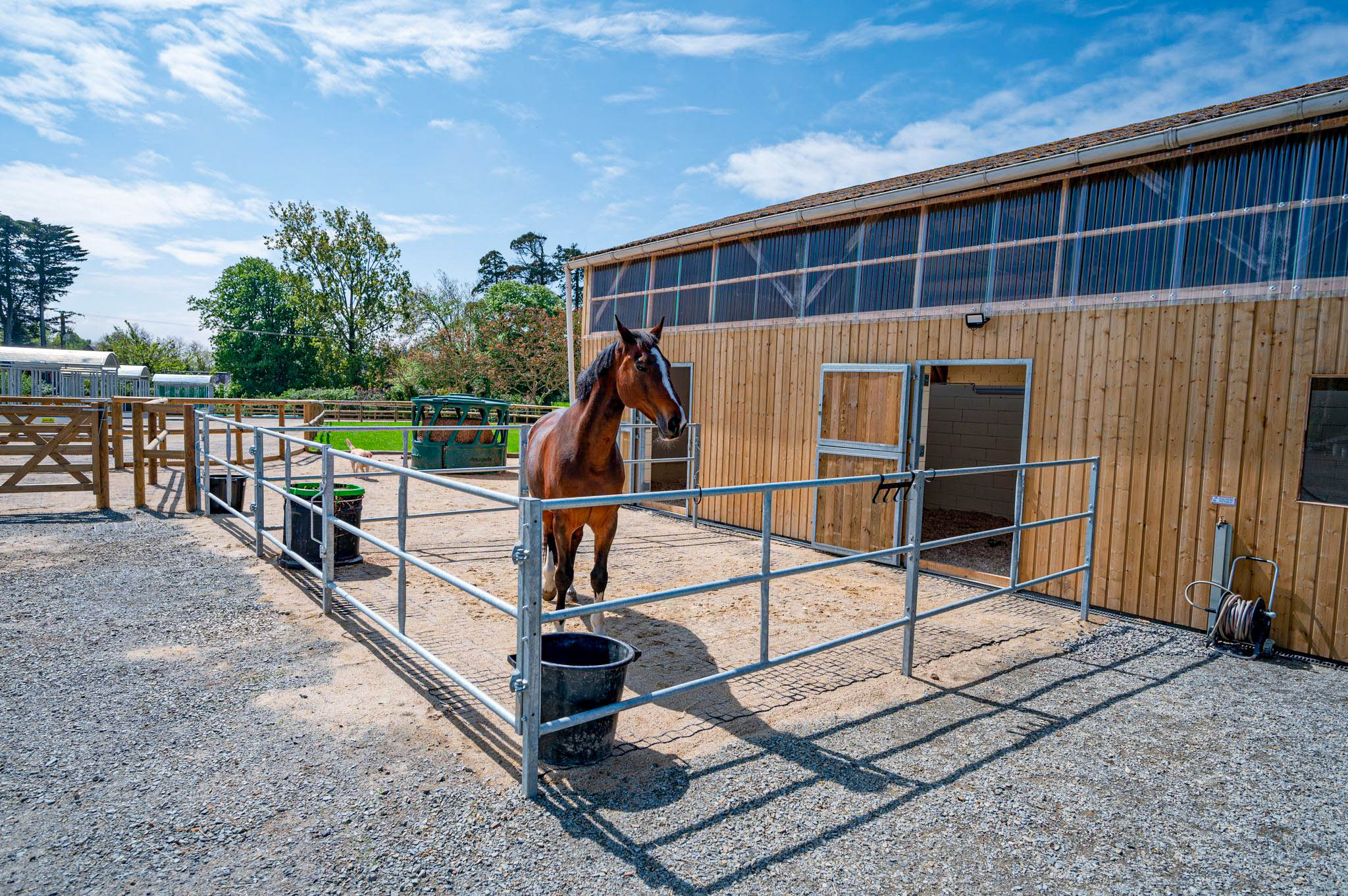 Râtelier à foin sous slow-feeding de l'écurie active