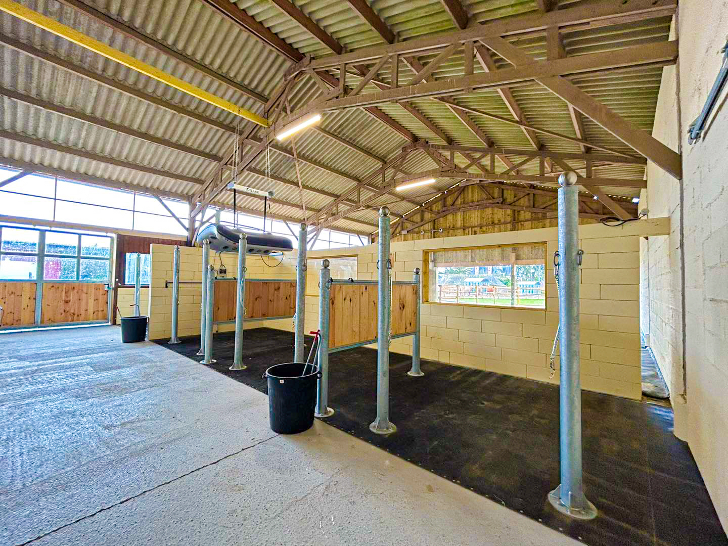 Troupeau de l'écurie active sur les prairies